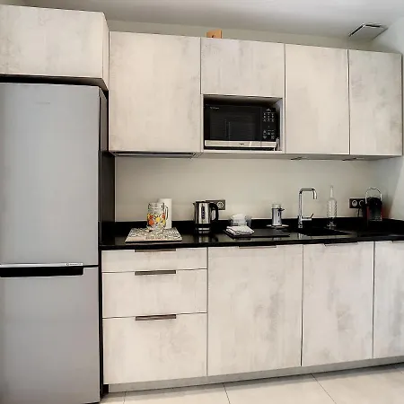 公寓 Beautiful 1 Bedroom With Garden On The Croisette 254 *